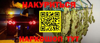 jwh Новозыбков