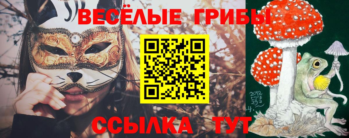 Псилоцибиновые грибы мицелий  Вход с VPN  сколько стоит  Псилоцибиновые грибы мицелий  Томск 